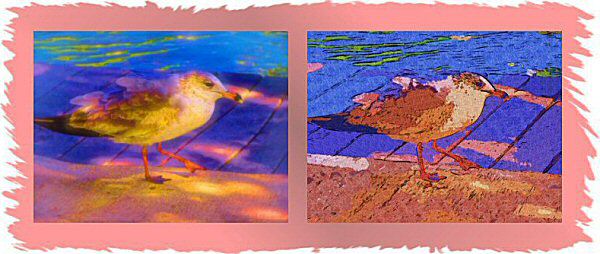 Photo Restoration, Restore and Retouch. Artistic Effects - special effects, seagull 2 - Photo Restoration by SmileDogProductions.com